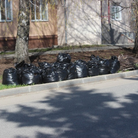 Собрали сотни мешков мусора и высадили десятки новых деревьев