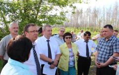 Необходимо принимать срочные меры по спасению и сохранению городских лесов, - на этом настаивают тольяттинские депутаты