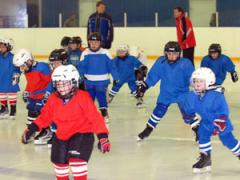 Городская Дума предложила мэру Тольятти помочь детскому хоккею