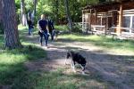 Развитие въездного туризма обсудили депутаты Тольятти с создателями питомника ездовых собак
