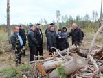 Городская Дума проинспектировала состояние тольяттинских лесов