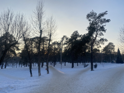Депутаты обсудили вопрос развития парка и набережной Комсомольского района