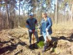 В Тольятти начались весенние посадки леса