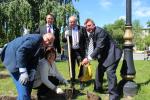 Депутаты высадили гортензии к юбилею Тольятти