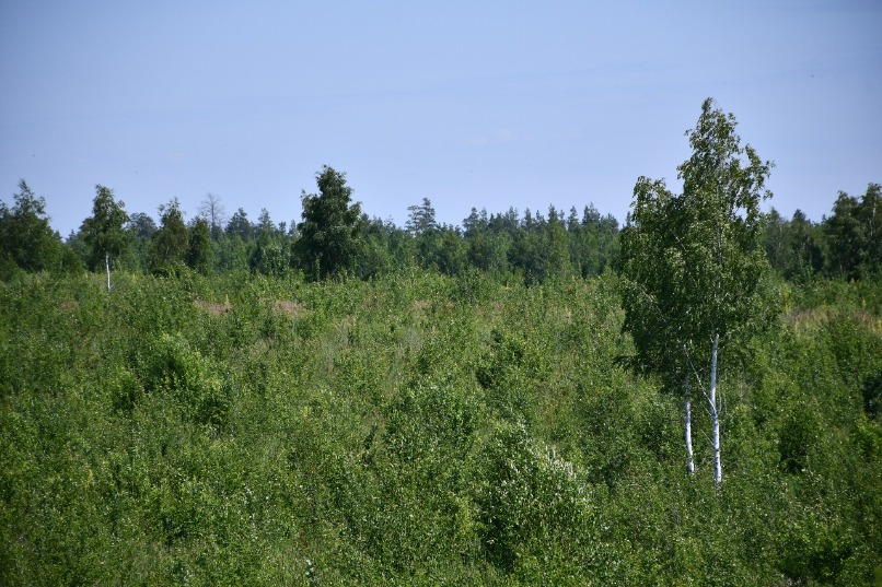 PML_0657.JPG