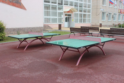 Физкультура и спорт как средства для возвращения к мирной жизни