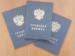 Тольяттинские парламентарии призывают принять эффективные меры для стабилизации ситуации на рынке труда 