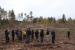 Лес в Тольятти нуждается в очистке от бурелома