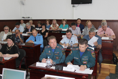 Защищённость от лесных пожаров – в центре внимания депутатов Тольятти 