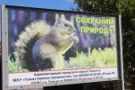 Системная работа по охране, защите и воспроизводству городского леса налажена в Тольятти