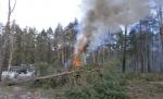 Депутаты Тольятти бьют тревогу в связи с угрозой возникновения новых лесных пожаров