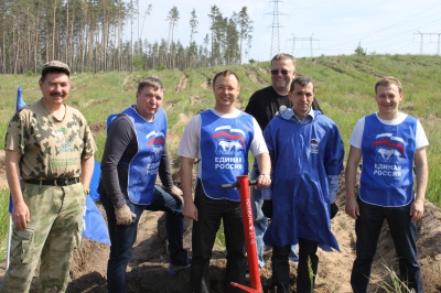 На месте горельника с участием депутатов Думы Тольятти высажено 9 тысяч саженцев сосны