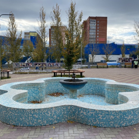 Общественная палата Тольятти проверила содержание объектов спорта и культуры