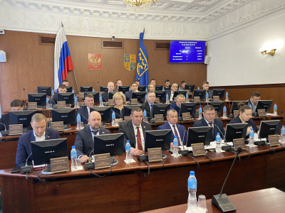 Программа приватизации должна принести в бюджет Тольятти порядка 110 млн рублей