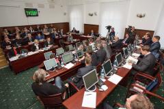 Дума городского округа Тольятти назначила публичные слушания