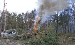 На фоне бушующих в регионах России лесных пожаров мэрия Тольятти не предпринимает мер по их профилактике на местном уровне