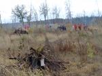 Депутаты, сотрудники аппарата Думы приняли участие в уборке леса