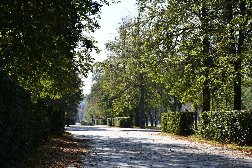 PML_1686.JPG