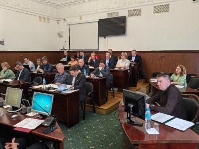 Благоустройство в Тольятти в 2025 году обсудили в Думе