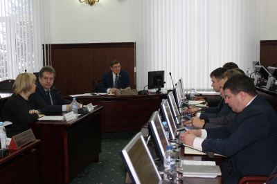 Депутаты обсудили перспективы управляющих микрорайонами Тольятти 