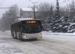 Новыми автобусами пополнится подвижной состав Тольятти